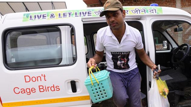 While pets have the option of professional veterinary care, it is the strays that are most at risk post injury. Sansthanam Abhay Daanam Trust,based in Ghaziabad is one non-profit NGO that caters to strays in the Delhi (NCR) region. The organisation focuses on providing on-site treatment to strays, including medical and surgical treatment to injured animals. (Arun Sharma / HT Photo)