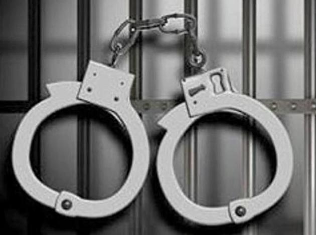 The arrested protesters included the village sarpanch, Manjit Kaur, who belongs to the Shiromani Akali Dal (SAD). (Representative image) The arrested protesters included the village sarpanch, Manjit Kaur, who belongs to the Shiromani Akali Dal (SAD). (Representative image)