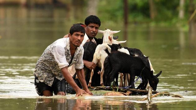 People use a makeshift raft to transport goats as they wade through a flooded road in Jakhalabandha area in Nagaon district, in Assam, on Monday.(Reuters Photo)