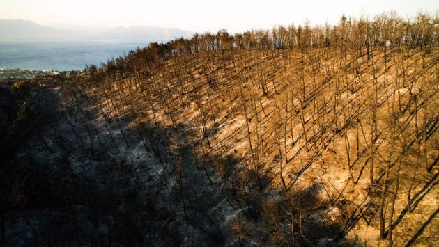 A huge wildfire had erupted in Kapandriti, northeast of Athens and Kalamos on Monday in an area dotted with vacation homes. Authorities said they had finally overpowered these locations while the front of Zakynthos still needs attention. About 3,700 of forest and scrubland have been ravaged according to Prime Minister Alexis Tsipras. (Savvas Karmaniolas / AFP)