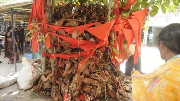 The tree has become a symbol of hope for the patients and their attendants.(Deepak Gupta/ HT Photo) The tree has become a symbol of hope for the patients and their attendants.(Deepak Gupta/ HT Photo)