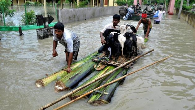 Villagers ferrying their cattle to safety on a raft made with banana plant stems from a flood-hit village in Nagaon district of Assam on Sunday.(PTI) Villagers ferrying their cattle to safety on a raft made with banana plant stems from a flood-hit village in Nagaon district of Assam on Sunday.(PTI)