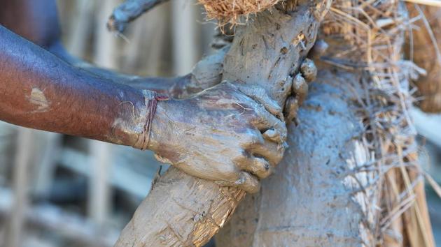 Each hay figure is then coated with a thick layer of specially made clay first by hand and then brushed on to even out the texture of the idol. Growing environmental awareness among buyers, restrictions on the use of Plaster of Paris (PoP) and regulations on dyes have resulted in increased demand for clay idols. (Mohd Zakir / HT Photo)