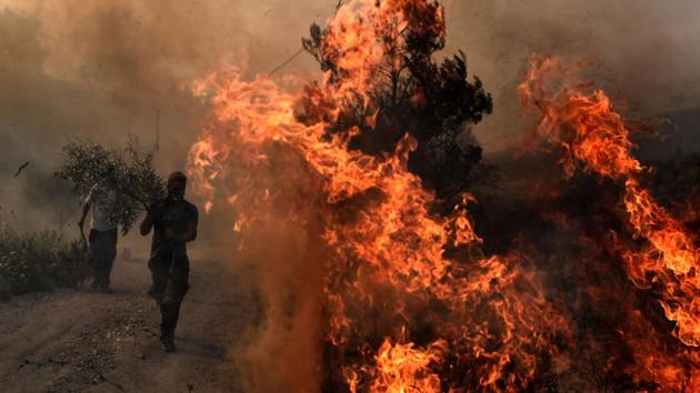 Firemen and volunteers try to extinguish a fire east of the Greek capital Athens on August 15, 2017. (Aris Messinis/AFP)