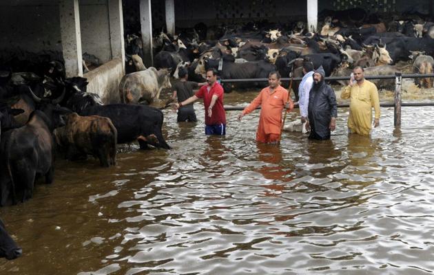 A Met department official said Chandigarh recorded 115 mm rainfall between 8:30 am till 2:30 pm. (HT Photo) A Met department official said Chandigarh recorded 115 mm rainfall between 8:30 am till 2:30 pm. (HT Photo)