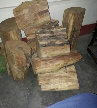 The recovered sandalwood. (HT Photo) The recovered sandalwood. (HT Photo)