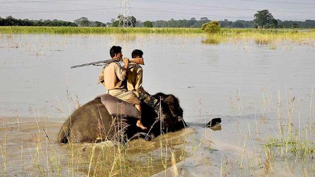 Forest rangers patrol in the flood affected Pobitora Wildlife Sanctuary at Morigaon, some 60kms east of Guwahati in 2014. Forest guards are frontline warriors in conservation. Along with guarding the forests, they are also involved in ecotourism, joint forest management, land regeneration, conserving biodiversity and urban greening.(AFP)