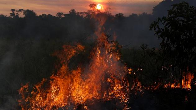 The destruction of the forest by illegal loggers compounds the region’s susceptibility to forest fires. According to the environment ministry, Apui ranked first in the country for forest fires in the first week of August. (Bruno Kelly/REUTERS)