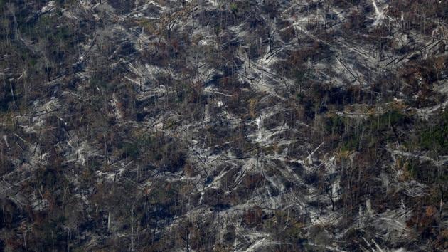 An aerial view shows deforested land in Apui, Brazil. Agent Costa acknowledges that the 1,300 environmental field agents who police a jungle area the size of western Europe have a difficult task ahead. (Bruno Kelly/REUTERS)