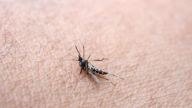 The findings appear in the journal Proceedings of the National Academy of Sciences. (Shutterstock) The findings appear in the journal Proceedings of the National Academy of Sciences. (Shutterstock)