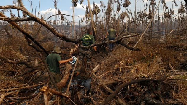 First come the loggers who illegally extract valued lumber often sold in far-off cities. The cattle ranchers follow, burning the forest to clear land and plant green pasture that rapidly grows in the tropical heat and rain. After the pasture is worn out, soy farmers arrive, planting grain on these immense tracts of land. (Bruno Kelly/REUTERS)