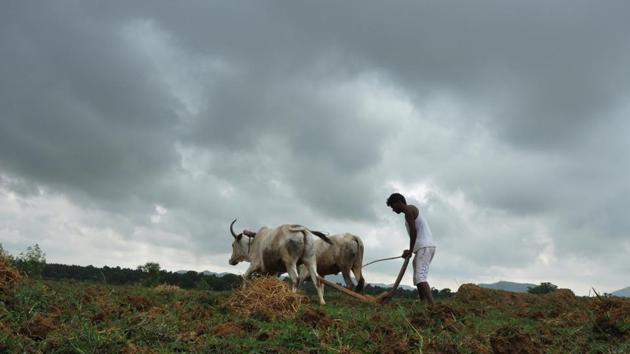 The state government has been constantly revising its parameters for the loan waiver, based on the farmers’ demands and complaints. (HT) The state government has been constantly revising its parameters for the loan waiver, based on the farmers’ demands and complaints. (HT)