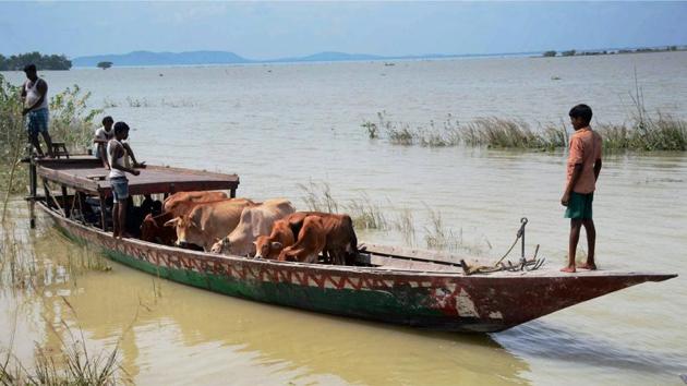 Villagers along with their cattle commute by a boat at a flood-hit village in Assam. Multiple trains were cancelled and the road transport have taken a major hit as eight major roads have been washed away terminating bus services and leaving the villagers with boats as their sole means of transportation. (PTI) Villagers along with their cattle commute by a boat at a flood-hit village in Assam. Multiple trains were cancelled and the road transport have taken a major hit as eight major roads have been washed away terminating bus services and leaving the villagers with boats as their sole means of transportation. (PTI)
