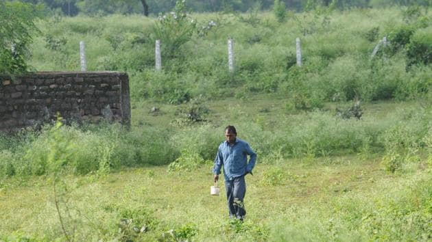 Many teachers have to start patrolling fields and open areas of villages since 5am every day, armed with a whistle, to shame the open defecators.(HT file)
