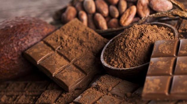 The compound epicatechin monomers is naturally present in cocoa.(Shutterstock)