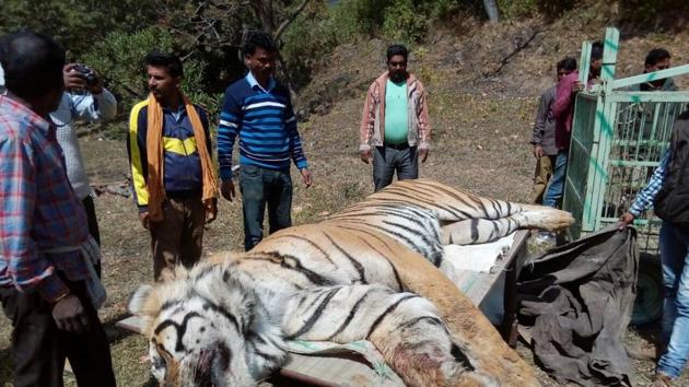 In March, a tiger was pinned down by an earth mover during a botched rescue attempt outside the Corbett reserve at(HT File) In March, a tiger was pinned down by an earth mover during a botched rescue attempt outside the Corbett reserve at(HT File)