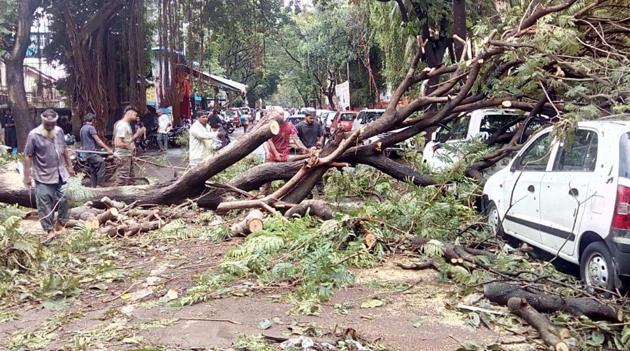 Local residents in Sion try to clear trees that feel on cars during the downpour on Tuesday.(Kunal Patil/HT)