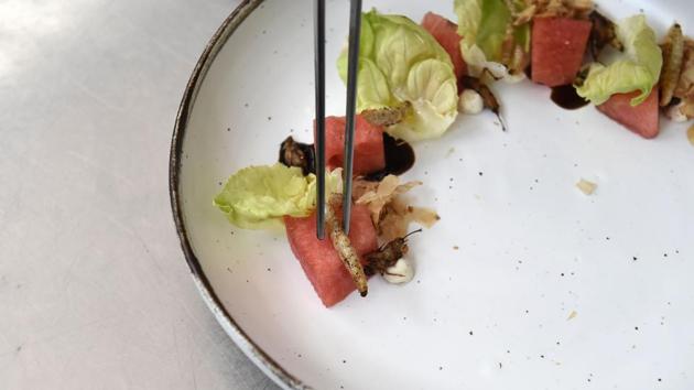 A dish made from fried bamboo caterpillars and watermelon salad inside the kitchen of Insects in the Backyard, a restaurant which says it offered the first insect-based fine-dining menu in Bangkok. Chef Thitiwat Tantragarn says the most important thing is to get the flavours right. ‘Giant water bug meat has a similar texture to crab, so that’s why I use it in the ravioli,’ he explained. Ant eggs are another favourite of his which he tends to pair with fish. (Lillian Suwanrumpha / AFP) 