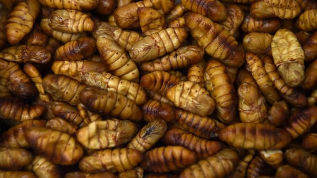 With the world’s population expected to hit 9.8 billion in 2050, many experts remain acutely concerned about how the world will feed itself as well as the environmental damage caused by so much meat being consumed. Insects require a fraction of the costs and the energy needed to farm compared to staples like chicken, pork, and beef and  hence are a more sustainable alternative source to meat consumption. (Lillian Suwanrumpha / AFP) 