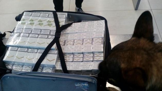 he accused are facing up to 10 years in jail and a fine of up to USD 500,000, the Department of Justice said. (Representative Photo) he accused are facing up to 10 years in jail and a fine of up to USD 500,000, the Department of Justice said. (Representative Photo)