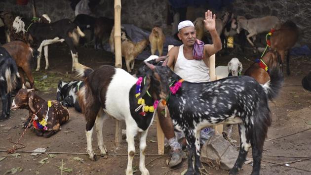 Many of the goats tethered in the market have synthetic and decorative flowers and items strapped around their neck to attract customers. Sales have reportedly dipped this season post demonetisation which affected the traders’ ability to adequately feed their livestock and raise them to much larger sizes which attract higher sums in the Eid period. (Burhaan Kinu/HT PHOTO)