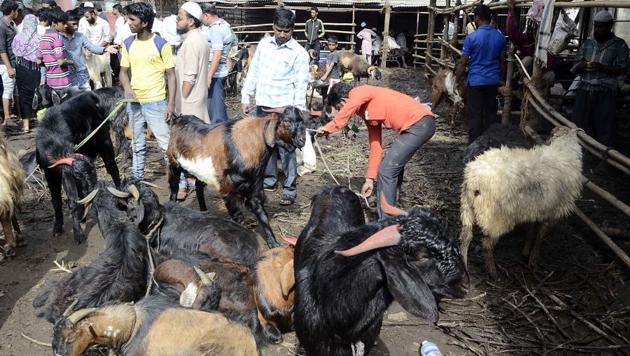 GST Impact: Decreasing demand of animal for Bakri Eid - Hindustan Times