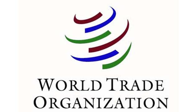 Some WTO members countries are targeting the subsidies given by the developing economies to their poor farmers while letting the developed rich nations retain their huge farm subsidies. (File photo) Some WTO members countries are targeting the subsidies given by the developing economies to their poor farmers while letting the developed rich nations retain their huge farm subsidies. (File photo)