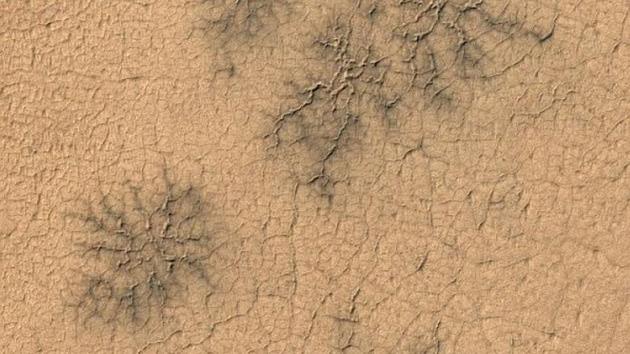 Scientists found landforms known as ‘spiders’ on parts of Mars. (NASA/JPL/University of Arizona) Scientists found landforms known as ‘spiders’ on parts of Mars. (NASA/JPL/University of Arizona)