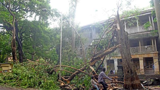A tree fell in Matunga after Tuesday’s downpour.(Pratik Chorge/HT Photo)