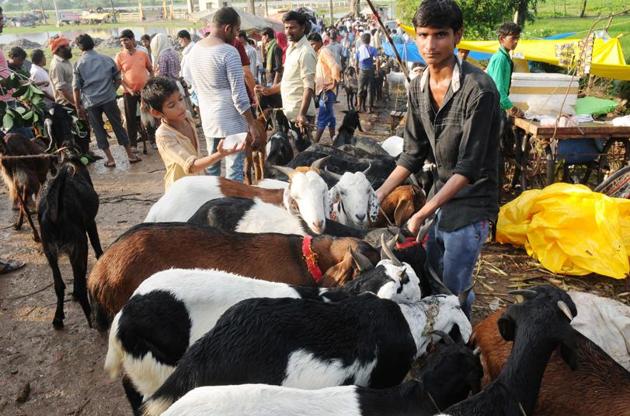 The police officials were told to ensure that sacrifice was not being done in the open on the roads. (Subhankar Chakraborty/HT PHOTO) The police officials were told to ensure that sacrifice was not being done in the open on the roads. (Subhankar Chakraborty/HT PHOTO)
