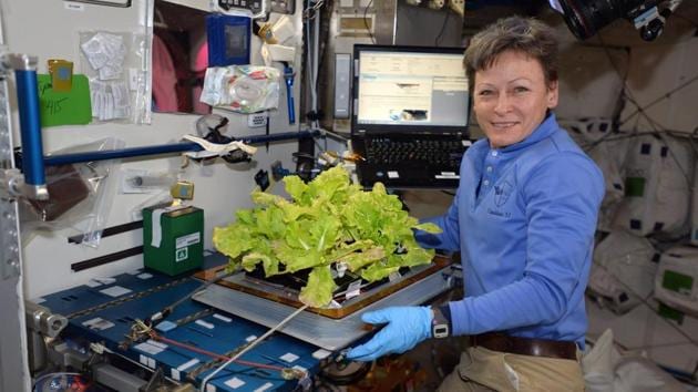 In this image posted to her Twitter feed on May 30, 2017, astronaut Peggy Whitson holds up Chinese cabbage grown in the International Space Station.(AP)