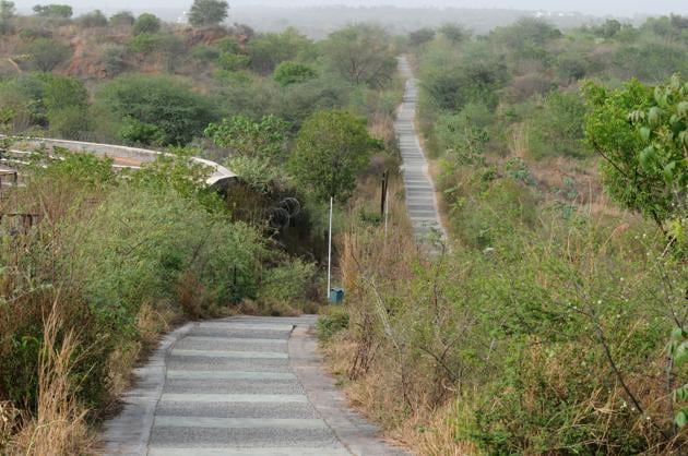 The initiative has been taken with a view to increase the green cover in the city and reduce man-animal conflicts. (HT FILE PHOTO) The initiative has been taken with a view to increase the green cover in the city and reduce man-animal conflicts. (HT FILE PHOTO)