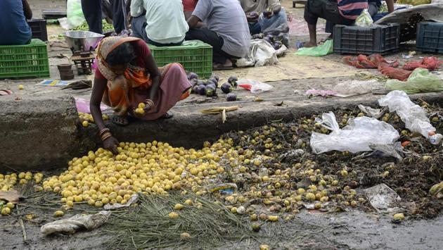 An Indian woman picks out lemons left discarded as rotten on the edge of a vegetable market in Jalandhar on September 2, 2017. Despite decades of fast economic growth, India still struggles to feed its 1.2-billion population adequately, with high rates of malnutrition. (SHAMMI MEHRA / AFP) An Indian woman picks out lemons left discarded as rotten on the edge of a vegetable market in Jalandhar on September 2, 2017. Despite decades of fast economic growth, India still struggles to feed its 1.2-billion population adequately, with high rates of malnutrition. (SHAMMI MEHRA / AFP)