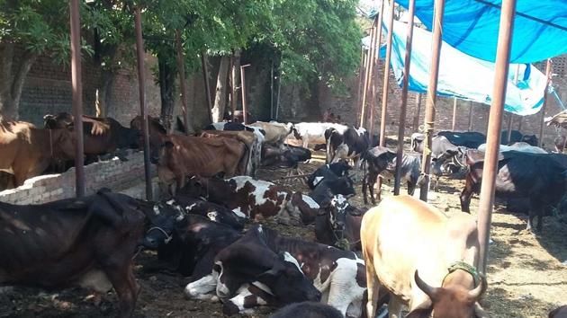 A temporary shelter was open to the elements and overcrowded.(HT File Photo)