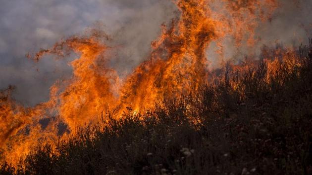 Los Angeles County, home to 10 million people and vast tracts of undeveloped mountainous land has suffered wildfires that have burned for weeks. California Governor Jerry Brown on Sunday declared a state of emergency for Los Angeles County in order to ease the path for state and federal officials to fight the fire. (David McNew / AFP) Los Angeles County, home to 10 million people and vast tracts of undeveloped mountainous land has suffered wildfires that have burned for weeks. California Governor Jerry Brown on Sunday declared a state of emergency for Los Angeles County in order to ease the path for state and federal officials to fight the fire. (David McNew / AFP)