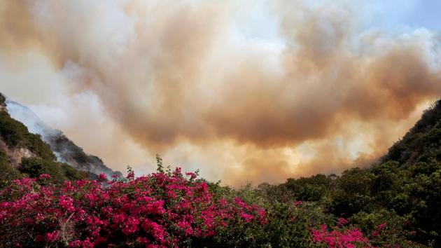 More than 400 miles (644 km) to the north, the so-called Ponderosa Fire has burned 4,000 acres, or 1,620 hectares, and destroyed 32 homes in Butte County since it started on Tuesday, prompting evacuation orders to residents of some 500 homes. The blaze was 64 percent contained on Sunday evening, up from 56 percent earlier in the day. (Kyle Grillot / REUTERS) More than 400 miles (644 km) to the north, the so-called Ponderosa Fire has burned 4,000 acres, or 1,620 hectares, and destroyed 32 homes in Butte County since it started on Tuesday, prompting evacuation orders to residents of some 500 homes. The blaze was 64 percent contained on Sunday evening, up from 56 percent earlier in the day. (Kyle Grillot / REUTERS)