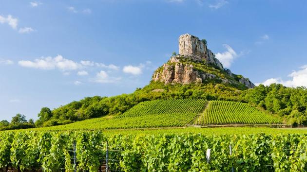 Head to France in mid-September when the crowds have thinned, the temperatures have cooled, and the grape harvest begins in Burgundy. (AFP) Head to France in mid-September when the crowds have thinned, the temperatures have cooled, and the grape harvest begins in Burgundy. (AFP)