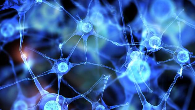 The findings were published in the journal eLife.(Shutterstock) The findings were published in the journal eLife.(Shutterstock)