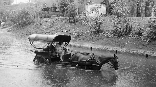 In 1971 Tongas were a common sight in Delhi, come rain, hail or storm. (N Thyagarajan / HT Photo) In 1971 Tongas were a common sight in Delhi, come rain, hail or storm. (N Thyagarajan / HT Photo)