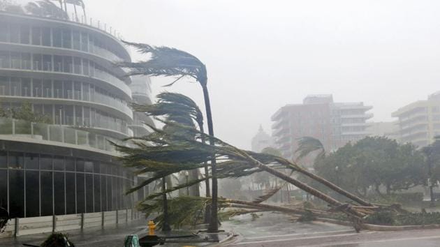 Palm trees lie strewn across the road as Hurricane Irma passes by, at Miami Beach on Sunday. (AP) Palm trees lie strewn across the road as Hurricane Irma passes by, at Miami Beach on Sunday. (AP)