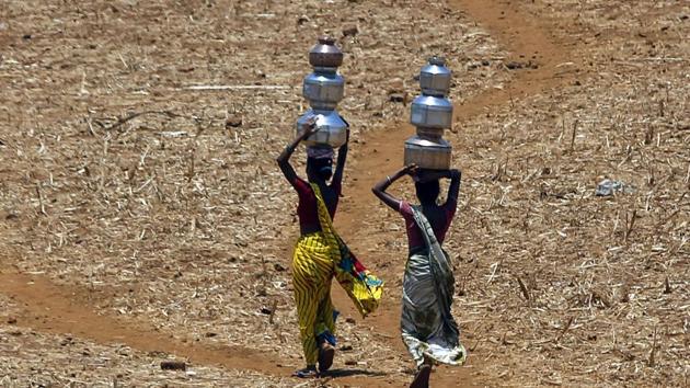 Drought conditions loom over 225 districts across India’s 17 agriculturally important states, according to National Agriculture and Drought Assessment System(AP File Photo)