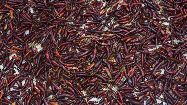 Red chilli are spread on a plastic sheet carried across the border from Myanmar into Bangladesh by fleeing Rohingya in Teknaf. With food in the camps scarce, most people eat only when aid agencies or volunteers bring bags of food, most often rice and watery curry. But even in these dire circumstances, many Rohingya have brought with them spices from their homeland: pungent red chilies drying on plastic sheets; fiery chutneys in battered boxes or dried beef in bamboo cases. (Bernat Armangue / AP) Red chilli are spread on a plastic sheet carried across the border from Myanmar into Bangladesh by fleeing Rohingya in Teknaf. With food in the camps scarce, most people eat only when aid agencies or volunteers bring bags of food, most often rice and watery curry. But even in these dire circumstances, many Rohingya have brought with them spices from their homeland: pungent red chilies drying on plastic sheets; fiery chutneys in battered boxes or dried beef in bamboo cases. (Bernat Armangue / AP)