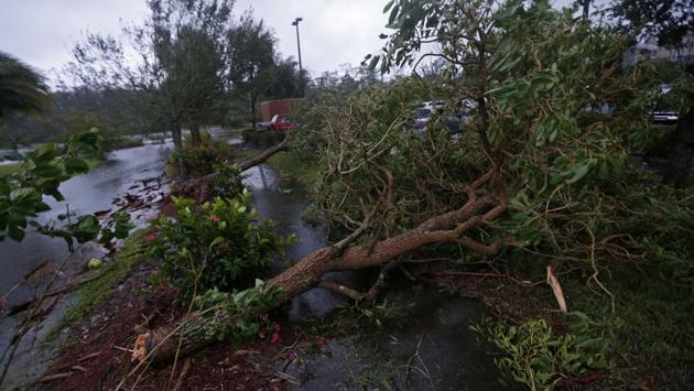 More than 3.3 million homes and businesses across the state lost power and utility services. Officials said it will take weeks to restore electricity. (Gerald Herbert / AP) More than 3.3 million homes and businesses across the state lost power and utility services. Officials said it will take weeks to restore electricity. (Gerald Herbert / AP)