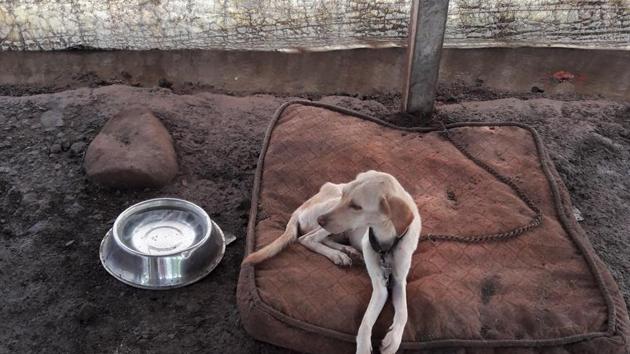 Picture for representation(HT File)