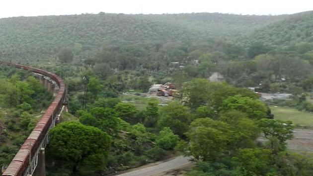 The Mukundra Hills Tiger Reserve.(HT File Photo)
