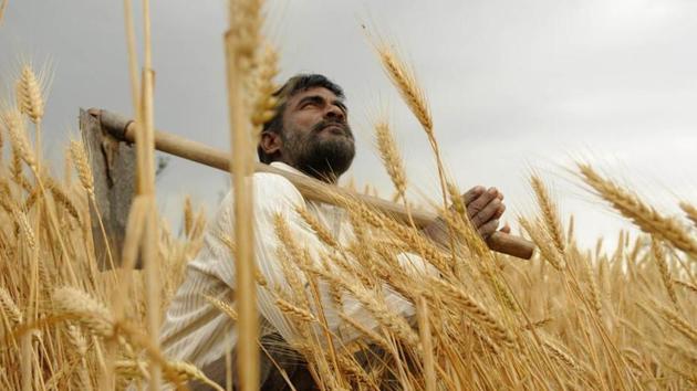 Preparations for the launch of the second phase of the loan waiver scheme are in the final stages. Preparations for the launch of the second phase of the loan waiver scheme are in the final stages.