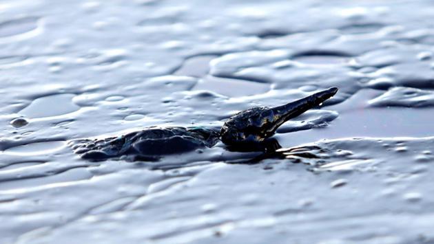 A bird covered in oil tries to stay afloat near the shores of Salamis Island. The oil spill has left thousands of marine animals affected. WWF Greece was likewise incredulous that ‘a country with heavy tankers traffic has proven unable to protect its beaches from an initially small-scale incident.’ (Giorgos Moutafis / Reuters) 