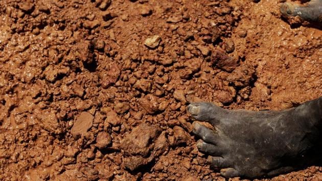 One Ibama enforcement officer, who was not authorized to speak to the media, said the government had left miners like those in Crepurizao in a precarious limbo. ‘You can’t just pull them out of the garimpos and the cities that are living off gold. And the government does not offer them structure and decent conditions,’ said the officer. ‘So they’re stranded there without the minimum conditions for survival.’ (Nacho Doce / REUTERS) One Ibama enforcement officer, who was not authorized to speak to the media, said the government had left miners like those in Crepurizao in a precarious limbo. ‘You can’t just pull them out of the garimpos and the cities that are living off gold. And the government does not offer them structure and decent conditions,’ said the officer. ‘So they’re stranded there without the minimum conditions for survival.’ (Nacho Doce / REUTERS)