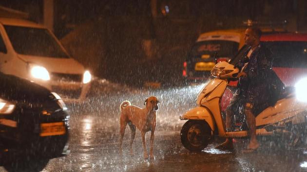 Evening shower at Shivaji Park, Dadar in Mumbai on Thursday, September 14, 2017. (Pratik Chorge/HT Photo) Evening shower at Shivaji Park, Dadar in Mumbai on Thursday, September 14, 2017. (Pratik Chorge/HT Photo)