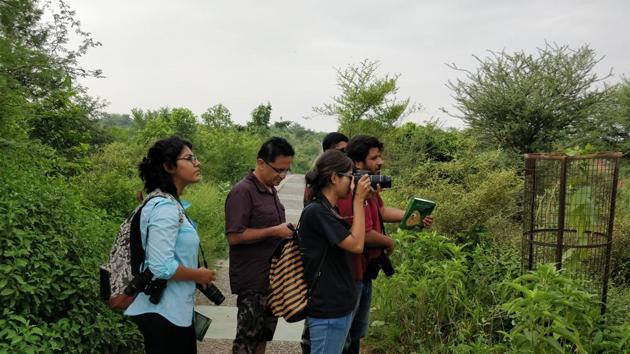 Equipped with binoculars, cameras, special lenses and a checklist of butterflies, enthusiasts scouted the green patches of the city to record data on butterflies and their habitats. Equipped with binoculars, cameras, special lenses and a checklist of butterflies, enthusiasts scouted the green patches of the city to record data on butterflies and their habitats.